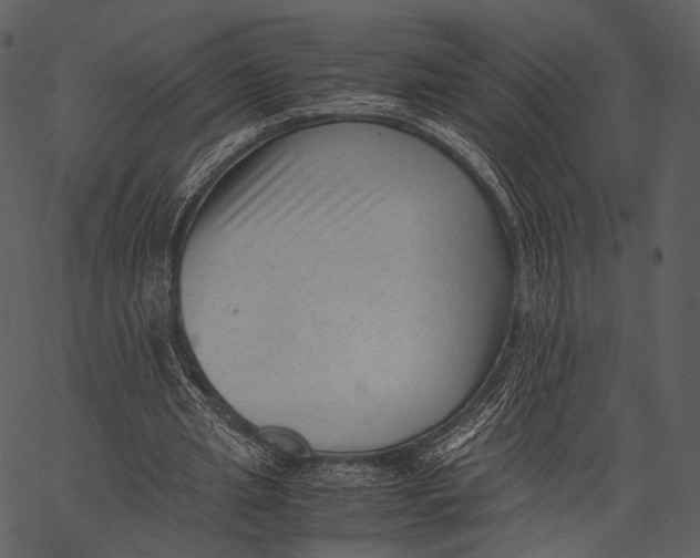 X0000062600437200601110947