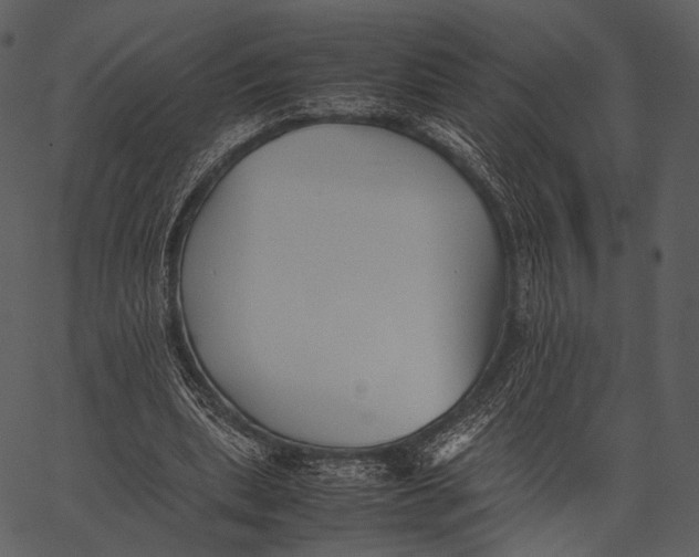 X0000062600439200601110947