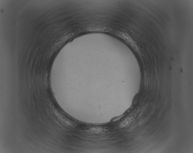 X0000062600441200601110947