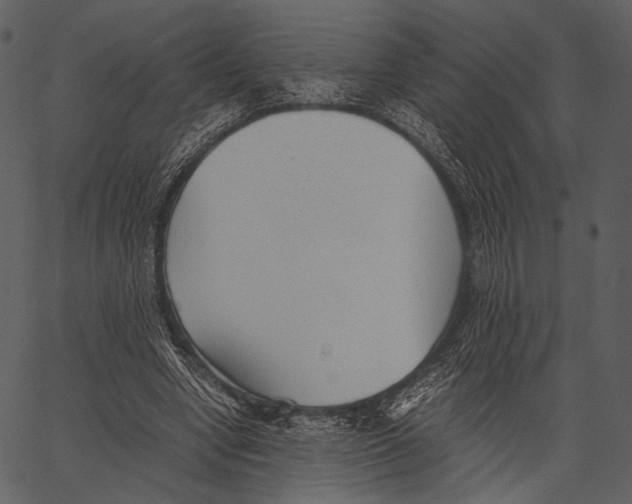 X0000062600442200601110947