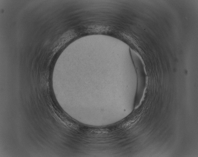 X0000062600443200601110947