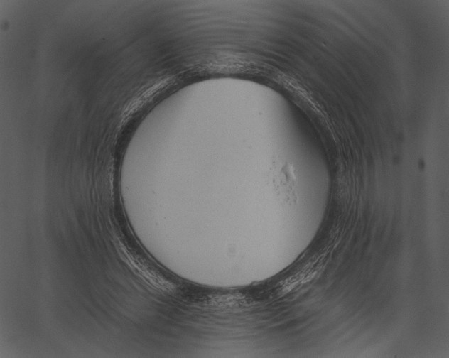 X0000062600446200601110947