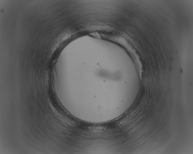 X0000062600448200601110947