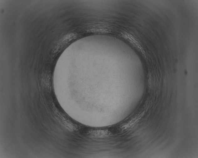 X0000062600449200601110947