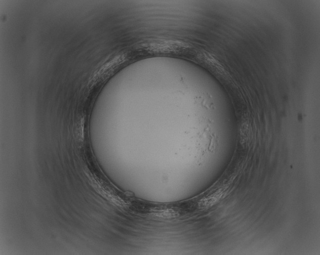 X0000062600454200601110947