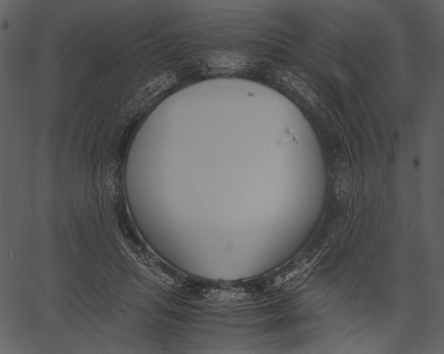 X0000062600455200601110947