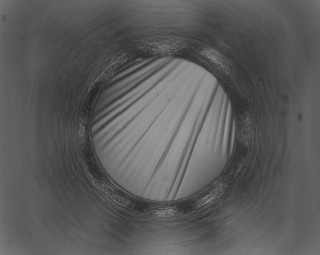 X0000062600456200601110947