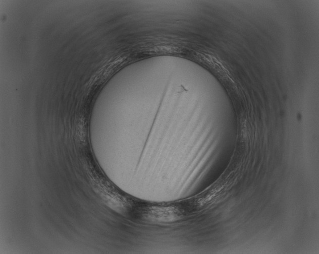 X0000062600457200601110947