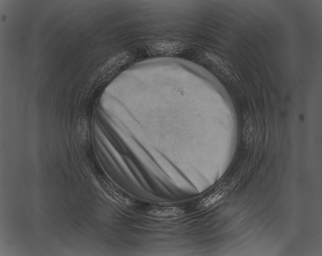 X0000062600459200601110947