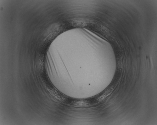 X0000062600460200601110947