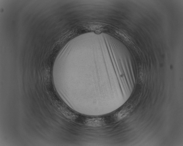 X0000062600461200601110947