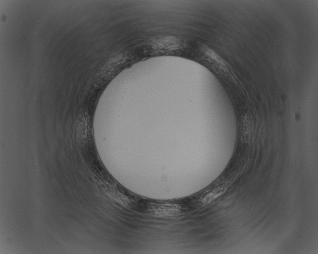 X0000062600463200601110947