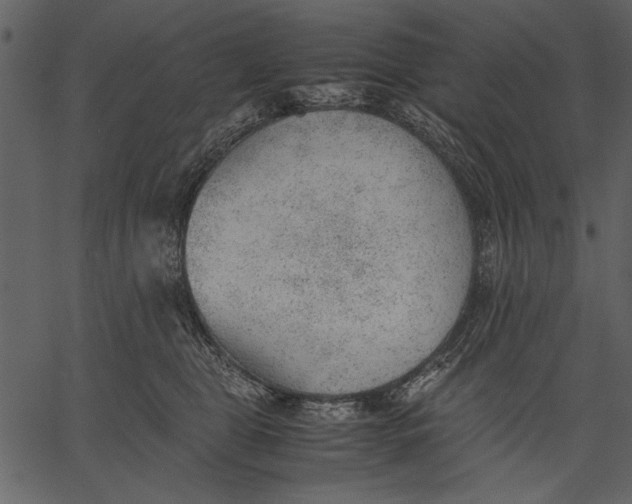 X0000062600469200601110947
