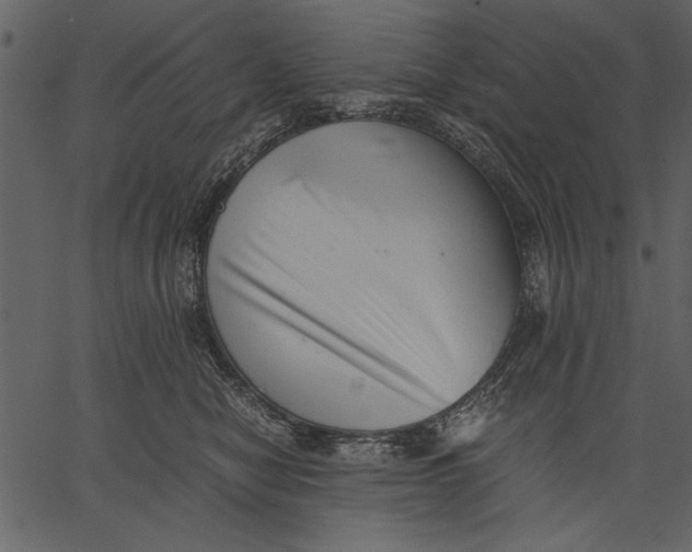 X0000062600470200601110947