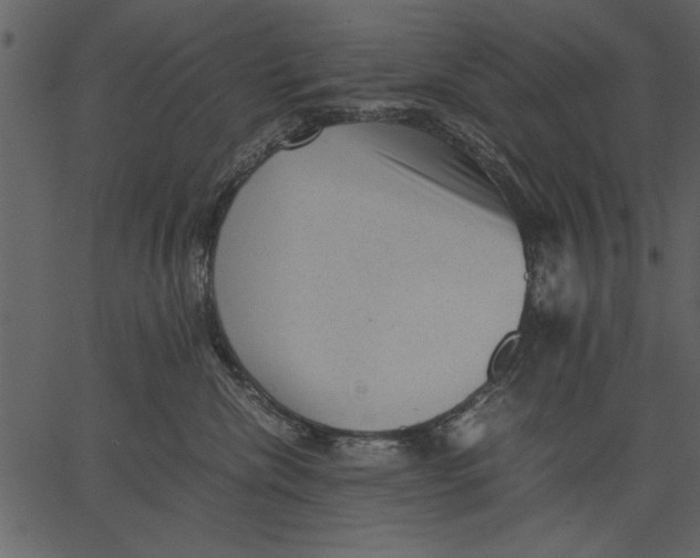 X0000062600476200601110947