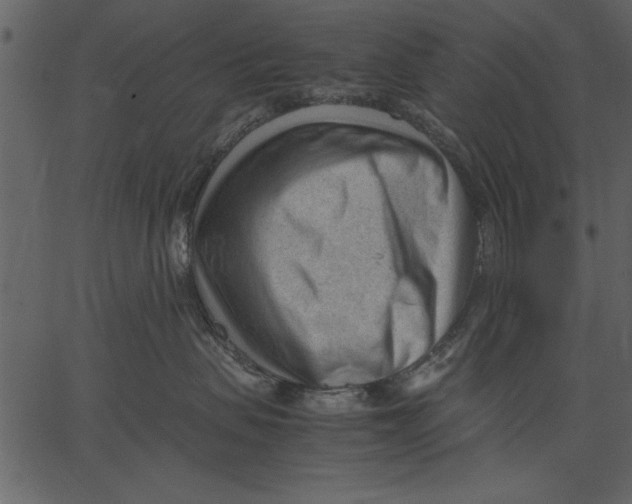 X0000062600479200601110947
