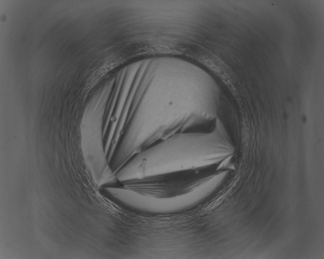 X0000062600481200601110946