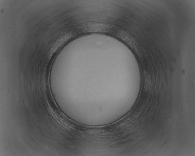 X0000062600482200601110946