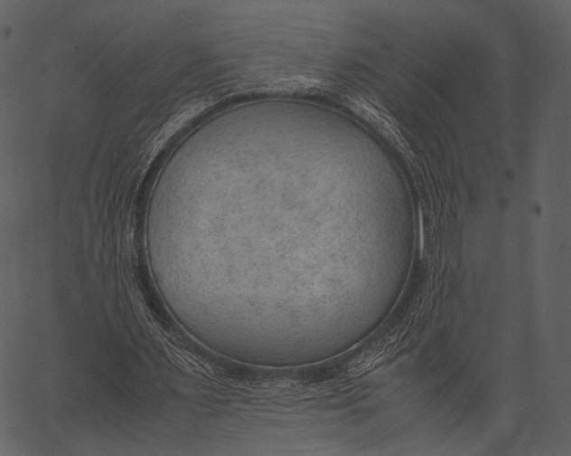 X0000062600483200601110946