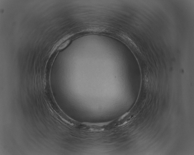 X0000062600484200601110946