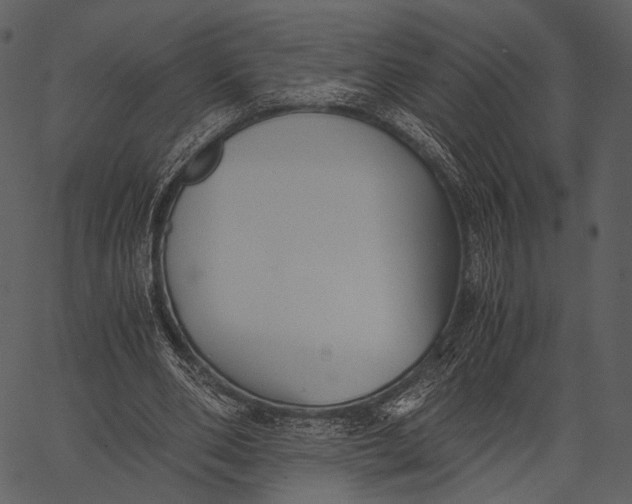 X0000062600486200601110946