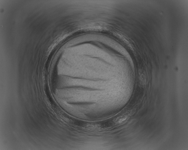 X0000062600487200601110946