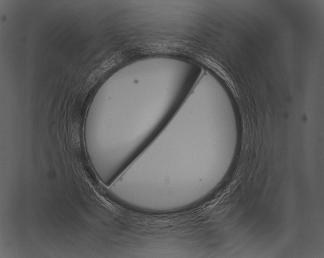 X0000062600489200601110946