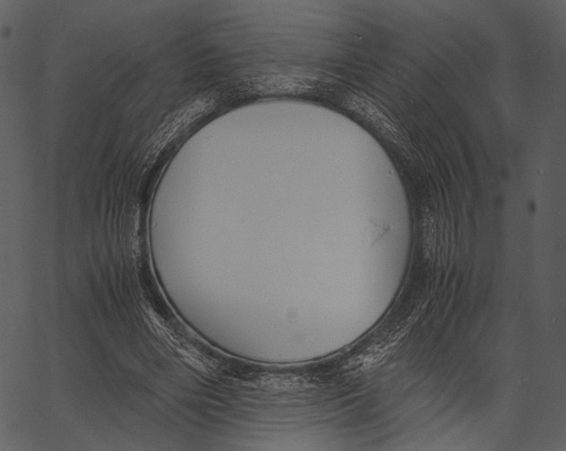 X0000062600490200601110946
