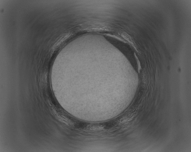 X0000062600491200601110946