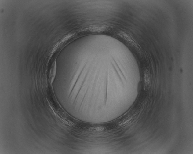 X0000062600492200601110946