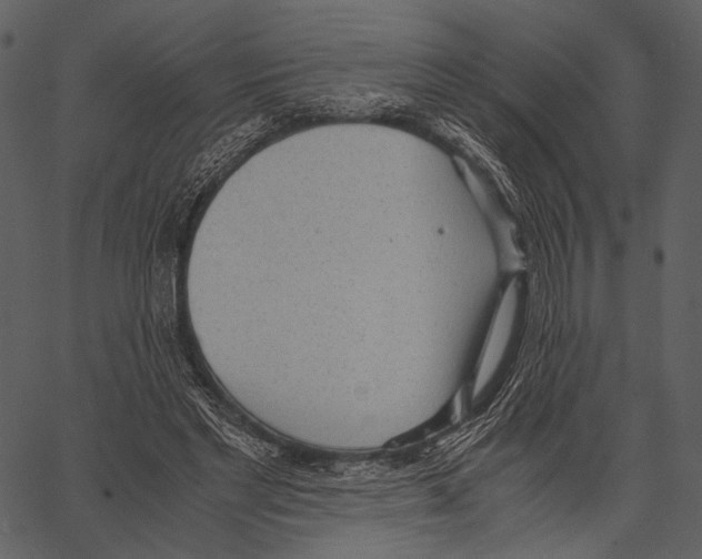 X0000062600493200601110946