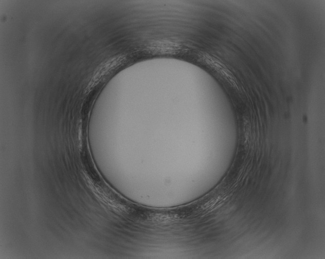 X0000062600494200601110946