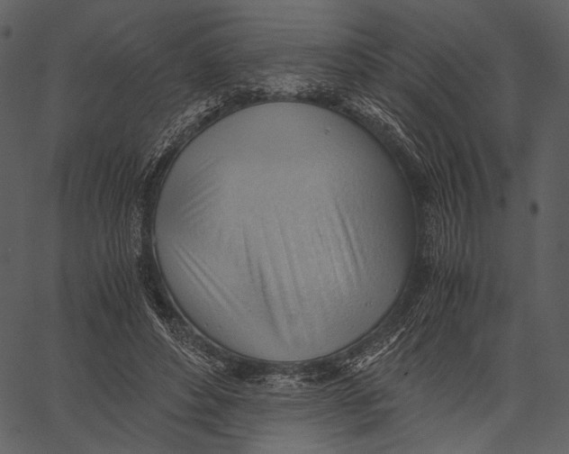 X0000062600496200601110946