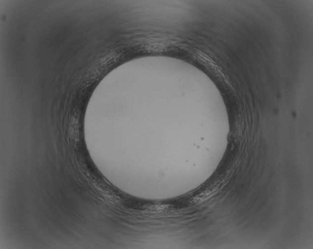 X0000062600497200601110946