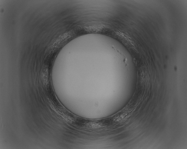 X0000062600498200601110946