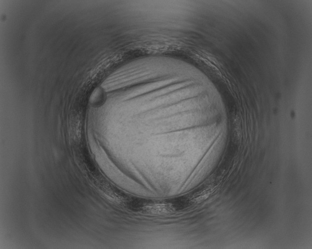 X0000062600499200601110946