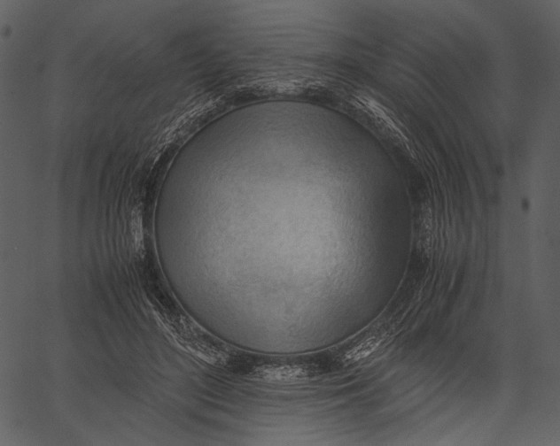 X0000062600500200601110946