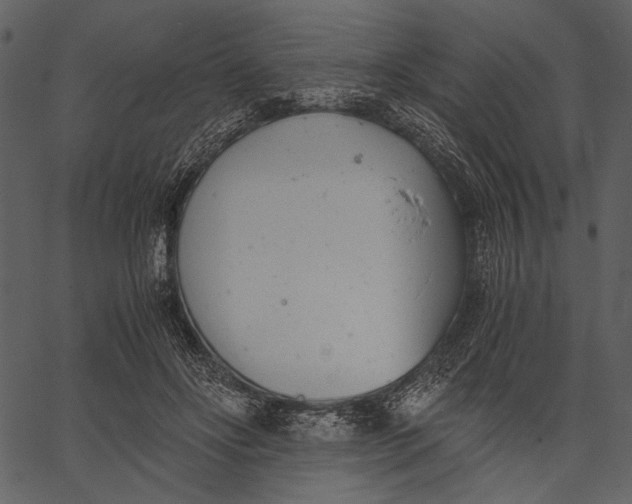 X0000062600502200601110946
