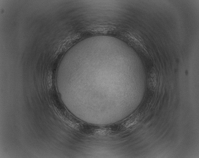 X0000062600504200601110946