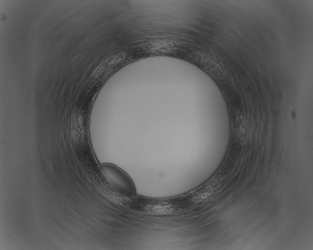 X0000062600506200601110946