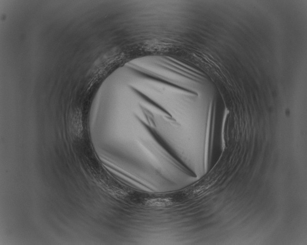 X0000062600508200601110946