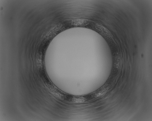 X0000062600510200601110946