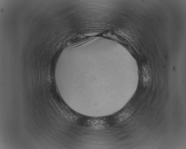 X0000062600512200601110946