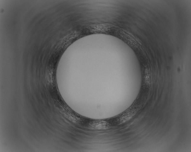 X0000062600514200601110946