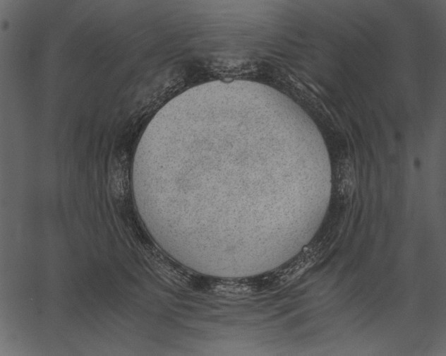X0000062600515200601110946