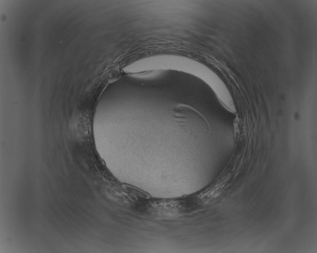 X0000062600517200601110946