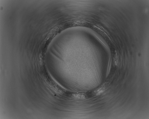 X0000062600520200601110946