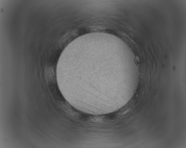 X0000062600523200601110946