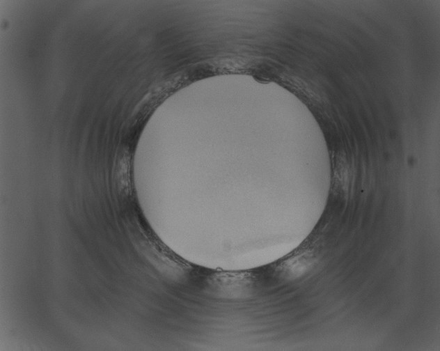 X0000062600526200601110946