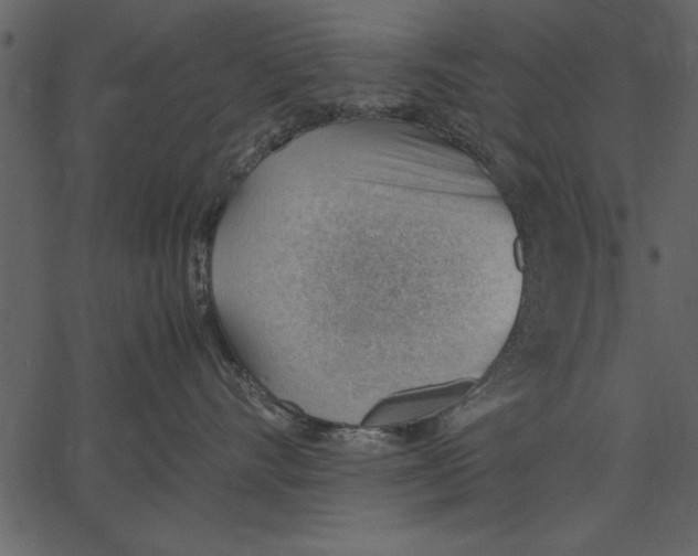 X0000062600528200601110946